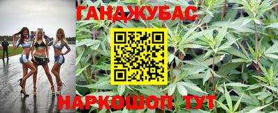 шишки Гусь-Хрустальный